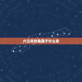 六三年的兔属于什么命，63年属兔56岁有一灾