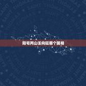 阳宅丙山壬向旺哪个属相，丙山壬向兼午子的水法从癸丑方来好不好？ 各位大