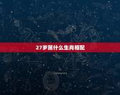 27岁属什么生肖相配，27岁婚配什么生肖好