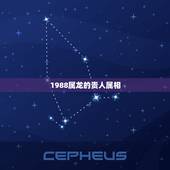 1988属龙的贵人属相，属龙人生什么属相好