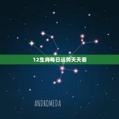 12生肖每日运势天天看，十二生肖星座每日运势
