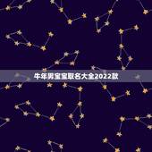 牛年男宝宝取名大全2022款，冬月生的孩子取什么名字好