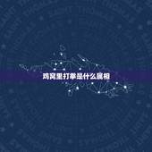 鸡窝里打拳是什么属相，鸡窝里打拳什么意思？