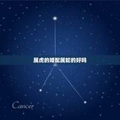 属虎的婚配属蛇的好吗，属虎女和属蛇男的婚配好不好