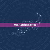 生辰八字分别代表什么，生辰八字是指什么？