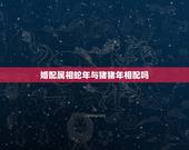 婚配属相蛇年与猪猪年相配吗，属蛇与属猪的可以婚配吗？