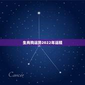 生肖狗运势2022年运程，属狗人2022年全年运势如何？