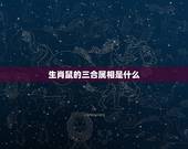 生肖鼠的三合属相是什么，72年属鼠48岁有一灾2022