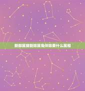 新郎属猪新娘属兔伴娘要什么属相，请问有习俗是属虎的不能当伴娘吗？