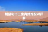 属鼠和十二生肖婚姻配对详解，属鼠的和什么属相最配 男鼠女鼠