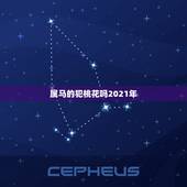 属马的犯桃花吗2021年，78年属马女性在2021年能得到贵人桃花运的