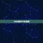 1985属牛今年运势，1985属牛人2021年全年运势