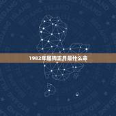 1982年属狗正月是什么命，1982年正月初一出生的算属鸡还是属狗