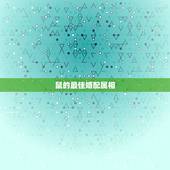 鼠的最佳婚配属相，属鼠的和什么属相最配 属鼠的属相婚配表