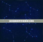 鼠年画属相手抄报简单又漂亮，又漂亮又简单的动物手抄报怎么画
