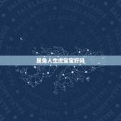 属兔人生虎宝宝好吗，属兔的人生牛宝宝好不好