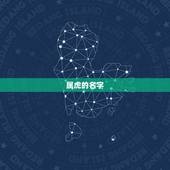 属虎的名字，属虎取名