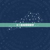 十二生肖招财数字，数字代表什么生肖
