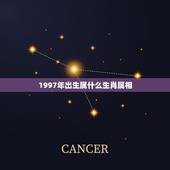 1997年出生属什么生肖属相，1997年属什么？