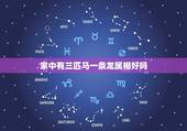 家中有三匹马一条龙属相好吗，家里有三个属马的人好吗