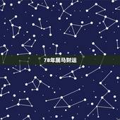 78年属马财运，78年属马的今年财运如何