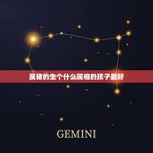 属猪的生个什么属相的孩子最好，属猪的父母 要个什么属相的孩子最好？符合