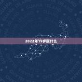 2022年19岁属什么，2003年羊在2022年运势及运程