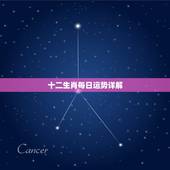 十二生肖每日运势详解，十二生肖一生运势鼠的运势怎么样？2015属鼠人每