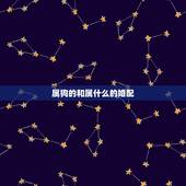 属狗的和属什么的婚配，属狗人的婚配适合什么属相
