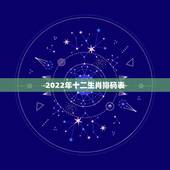 2022年十二生肖排码表，2022年最倒霉的生肖女