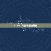 91年11月的羊最佳婚配，1991年11月21日辰时男羊最佳婚配