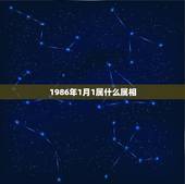 1986年1月1属什么属相，1986年1月1日是该什么属相
