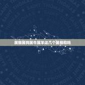 属猴属狗属牛属羊这几个属相和吗，属猴和属狗的配吗，猴和狗配吗