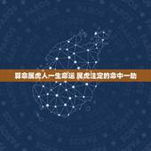算命属虎人一生命运 属虎注定的命中一劫