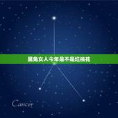 属兔女人今年是不是烂桃花，87年属兔女2022 年桃花月份