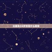 比属龙小8岁的是什么属相，我属龙40岁比我大两岁的人是属什么