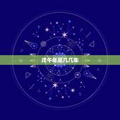 戊午年是几几年，戊午年是什么命