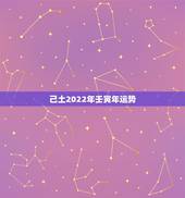 己土2022年壬寅年运势，2022壬寅易经预言