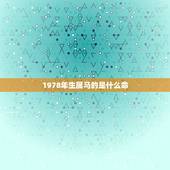 1978年生属马的是什么命，1978年属马的到底是火命还是土命？