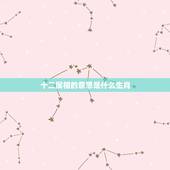 十二属相的意思是什么生肖，十二生肖的合肖是什么意思