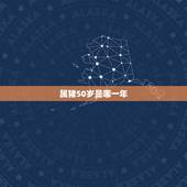 属猪50岁是哪一年，属蛇的和什么属相最配