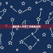 属蛇男人分手了还能复合吗，属蛇男分手会后悔吗