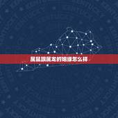 属鼠跟属龙的姻缘怎么样，属鼠男和属龙女相配吗