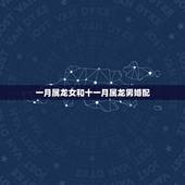 一月属龙女和十一月属龙男婚配，属龙男和属龙女能婚配吗