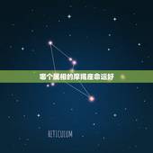 哪个属相的摩羯座命运好，摩羯座属牛的男生和什么星座属相合适