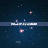 属马人2021年全年运势详解，属马的人2021年运势及每月运程怎么样化