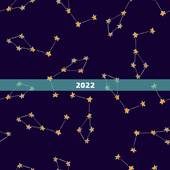 2022 年属什么生肖，2022虎百年难遇