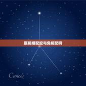 属相婚配蛇与兔相配吗，属蛇和属兔的相配吗