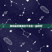 猴和鼠的属相合不合在一起好吗，属猴和属鼠合不合