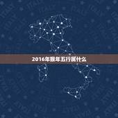 2016年猴年五行属什么，2o16年属猴的是什么命